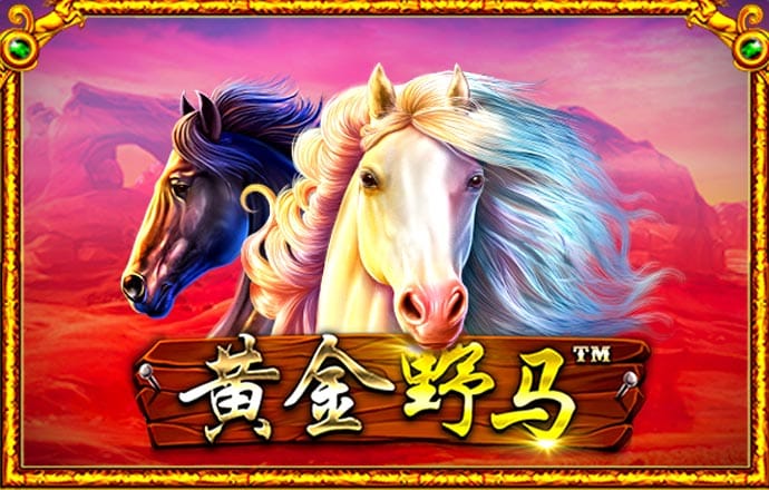 Bet365体育投注